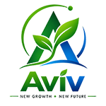 AVIV Marketing